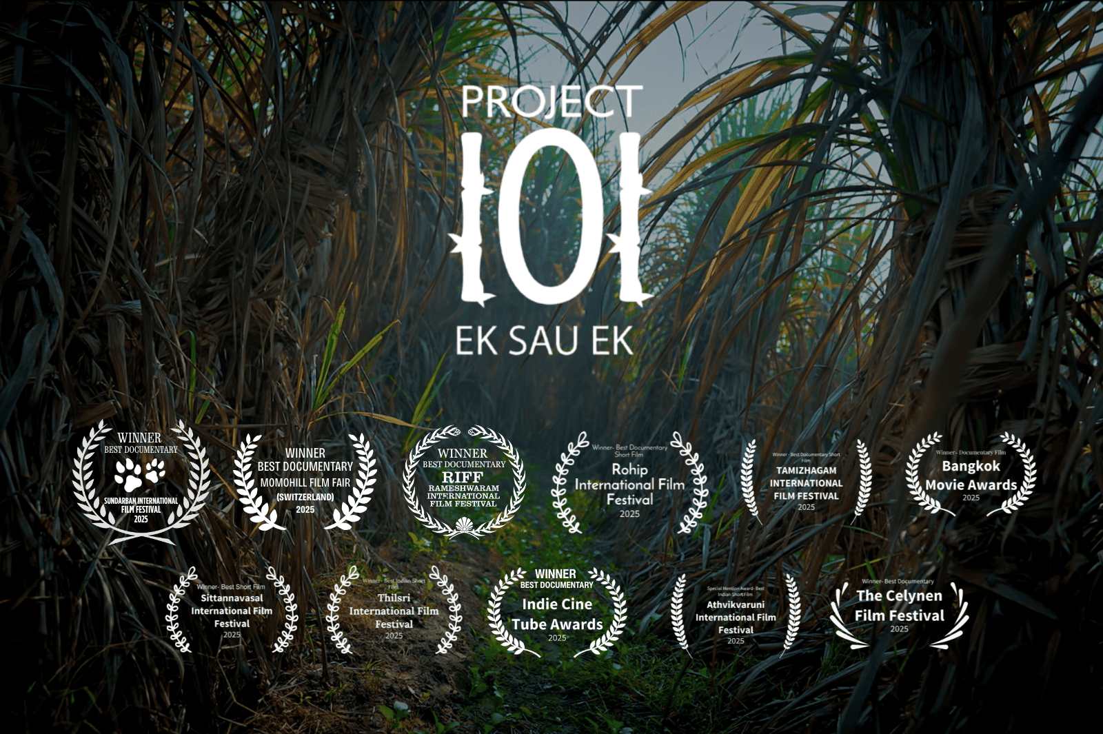 Project 101 - Ek Sau Ek