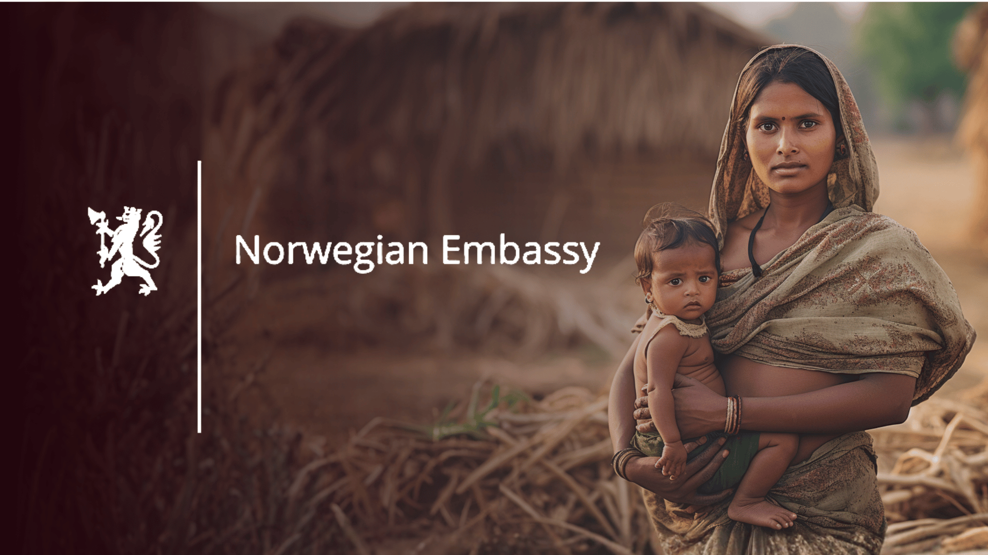 Norway India Partnership (NIPI)